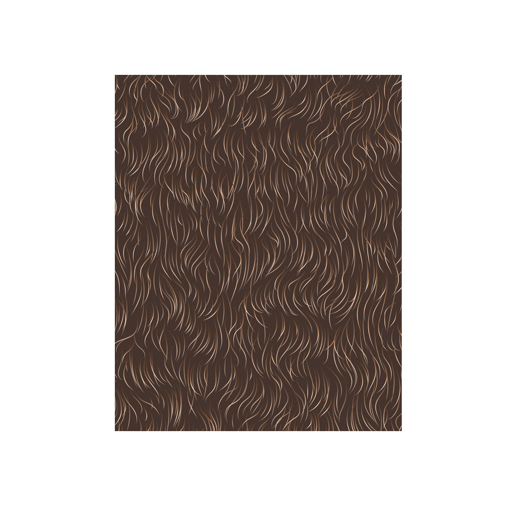 Gentle Creatures Wisdom Deck - Concordia Style Boutique