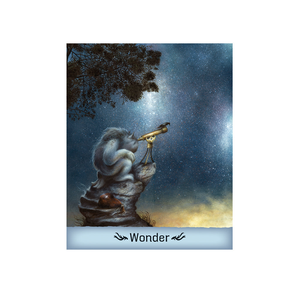 Gentle Creatures Wisdom Deck - Concordia Style Boutique