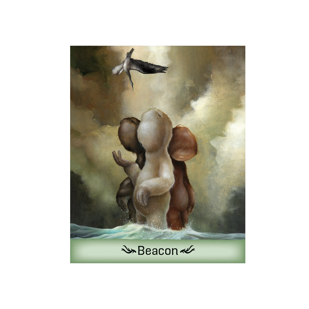 Gentle Creatures Wisdom Deck - Concordia Style Boutique