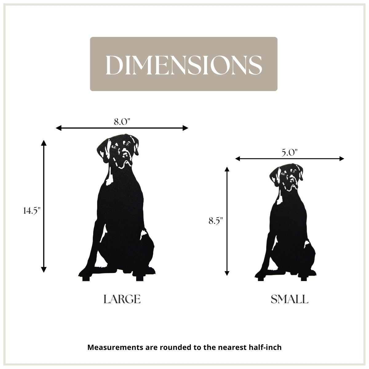 German Shorthaired Pointer