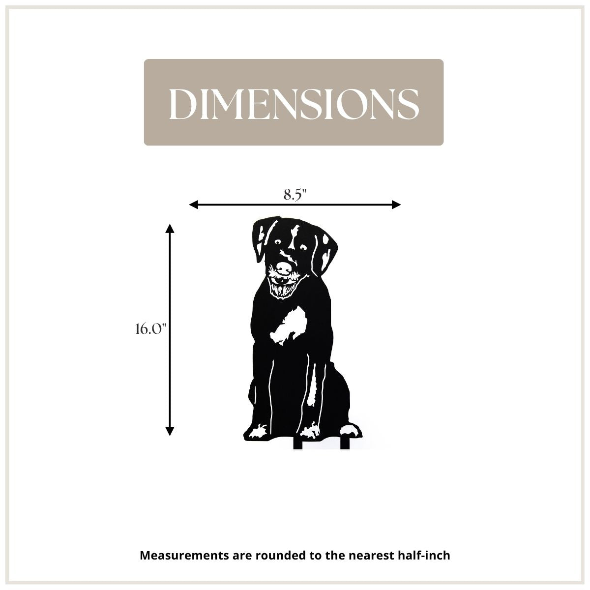 German Wirehaired Pointer