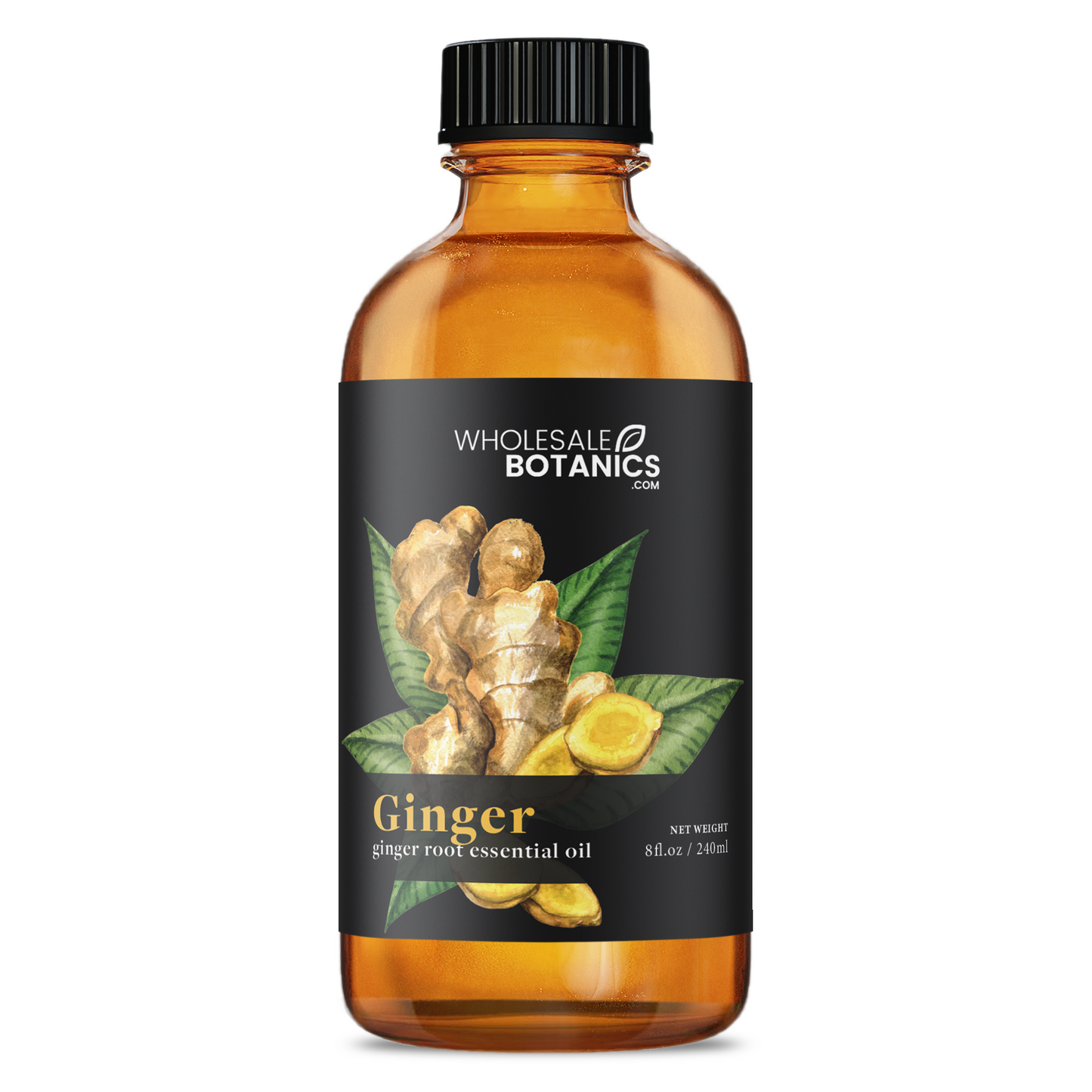 Ginger Root Essential Oil