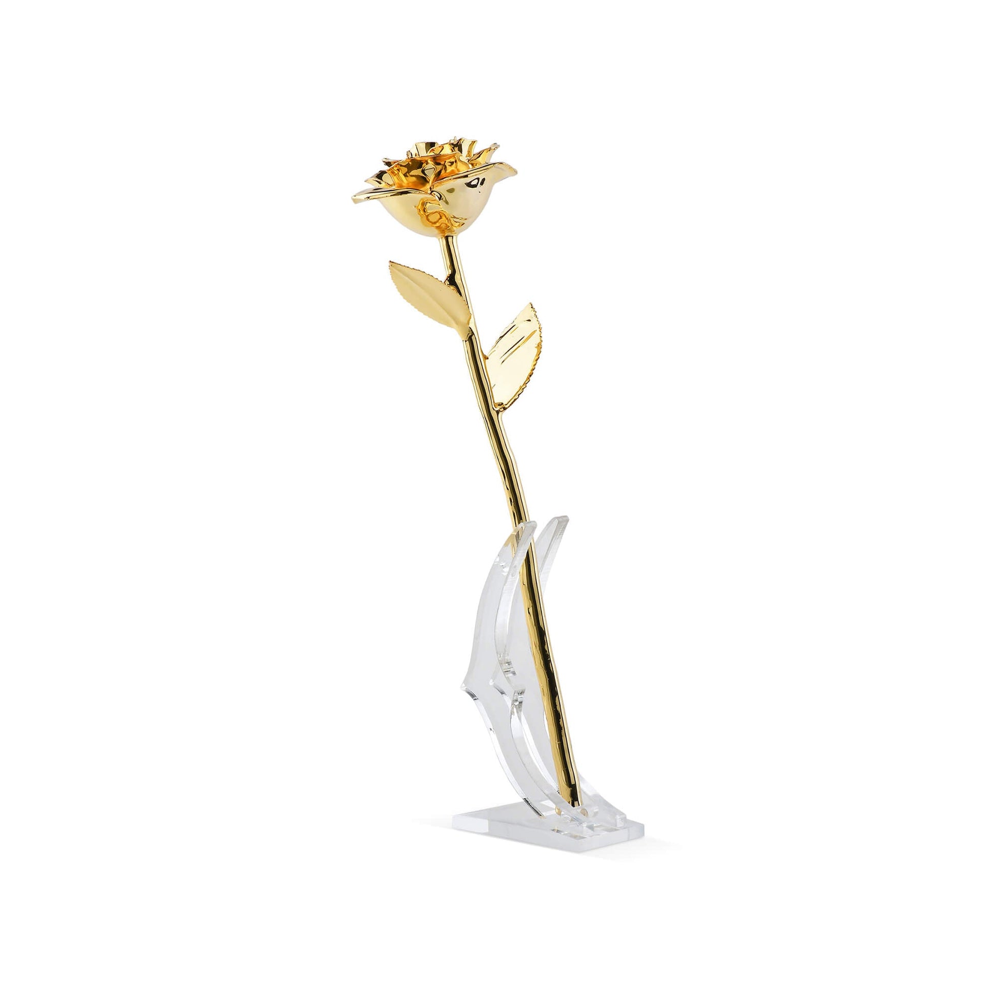 Timeless Rose (Gold) - Concordia Style Boutique
