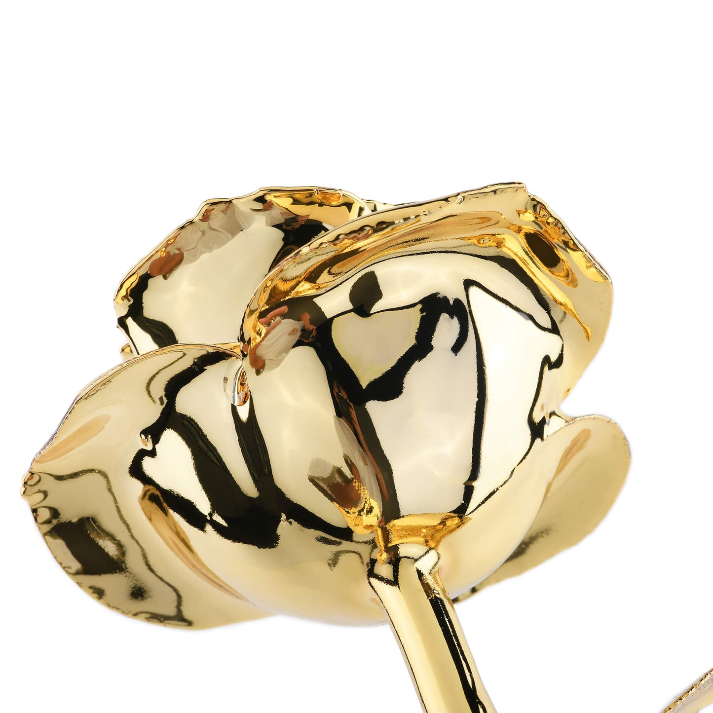 Timeless Rose (Gold) - Concordia Style Boutique