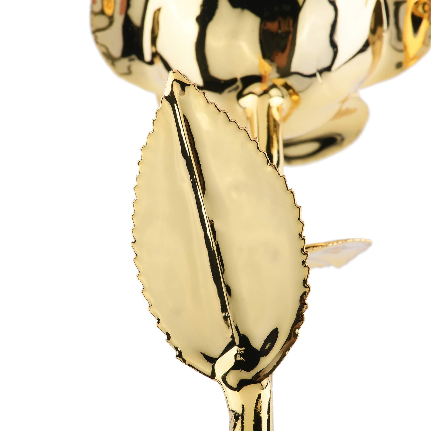 Timeless Rose (Gold) - Concordia Style Boutique