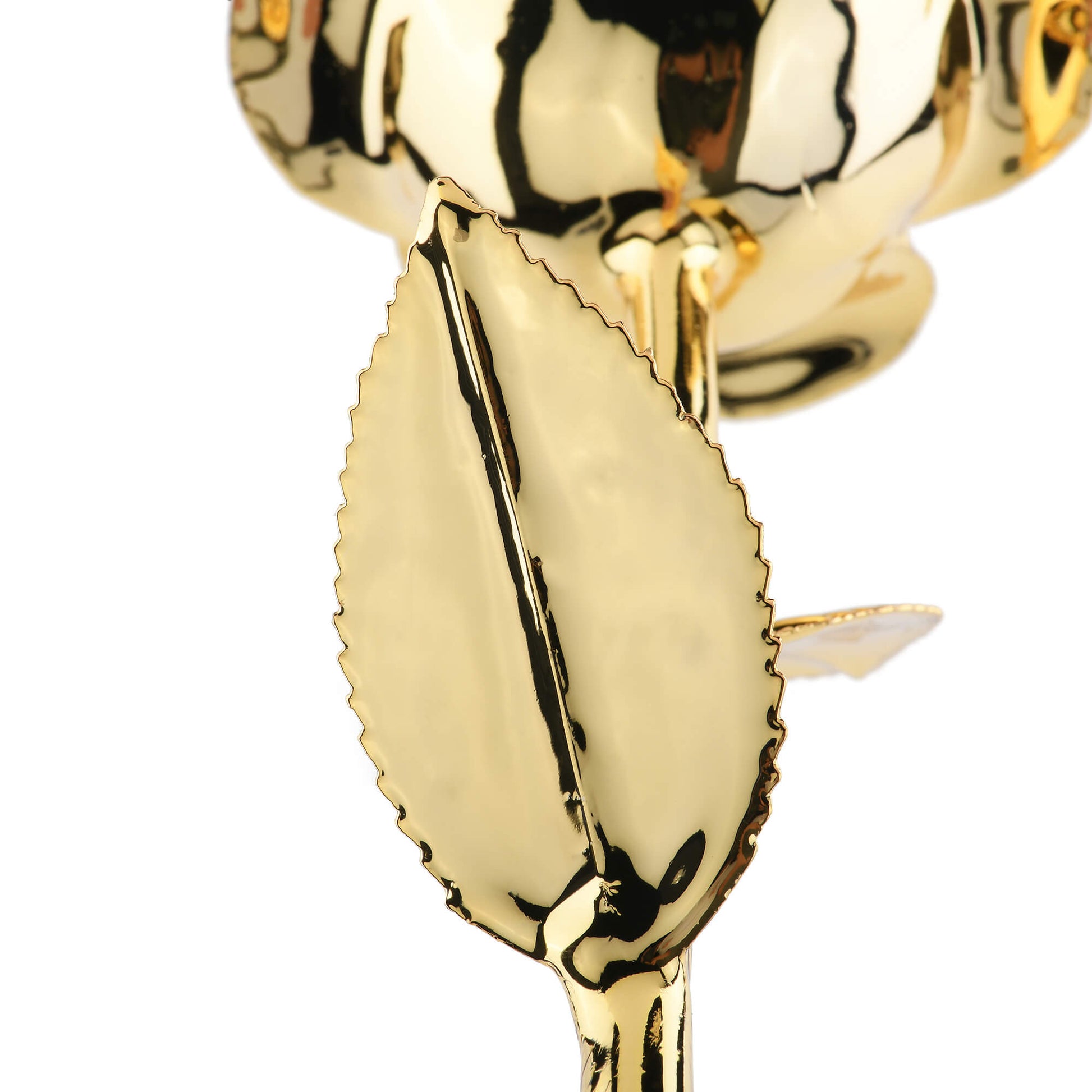 Timeless Rose (Gold) - Concordia Style Boutique