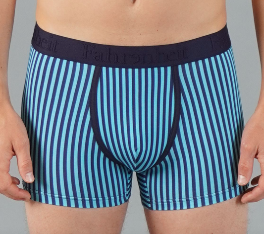 Grant Trunk | Vertical Stripe Blue - Concordia Style Boutique