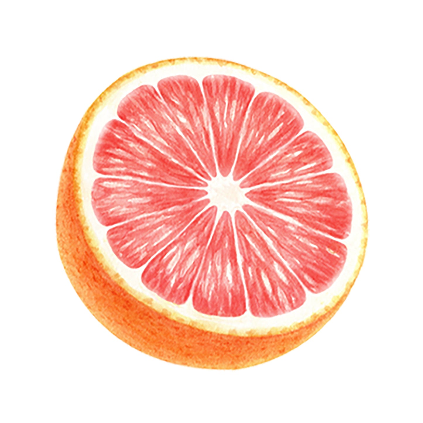 Pink Grapefruit Essential Oil - Concordia Style Boutique