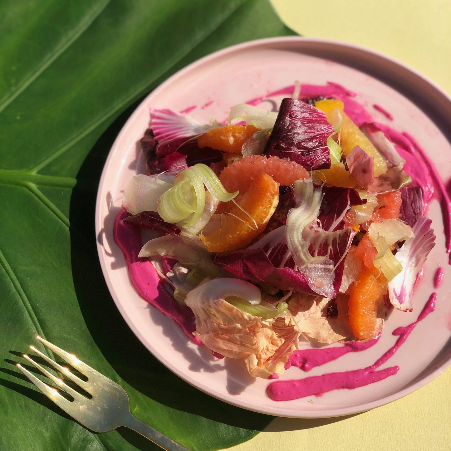 Citri Cookbook Zine