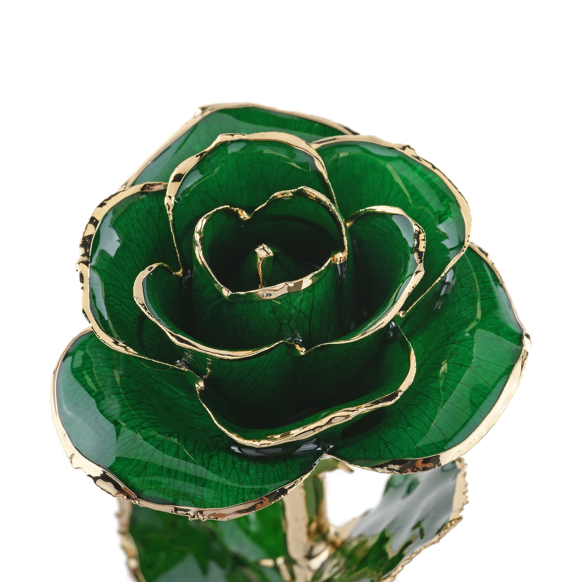 Timeless Rose (Green) - Concordia Style Boutique