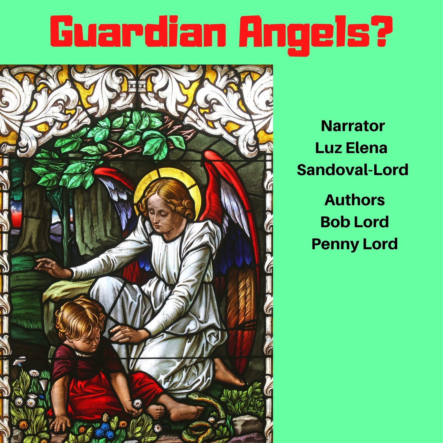 Heavenly Army of Angels  Book