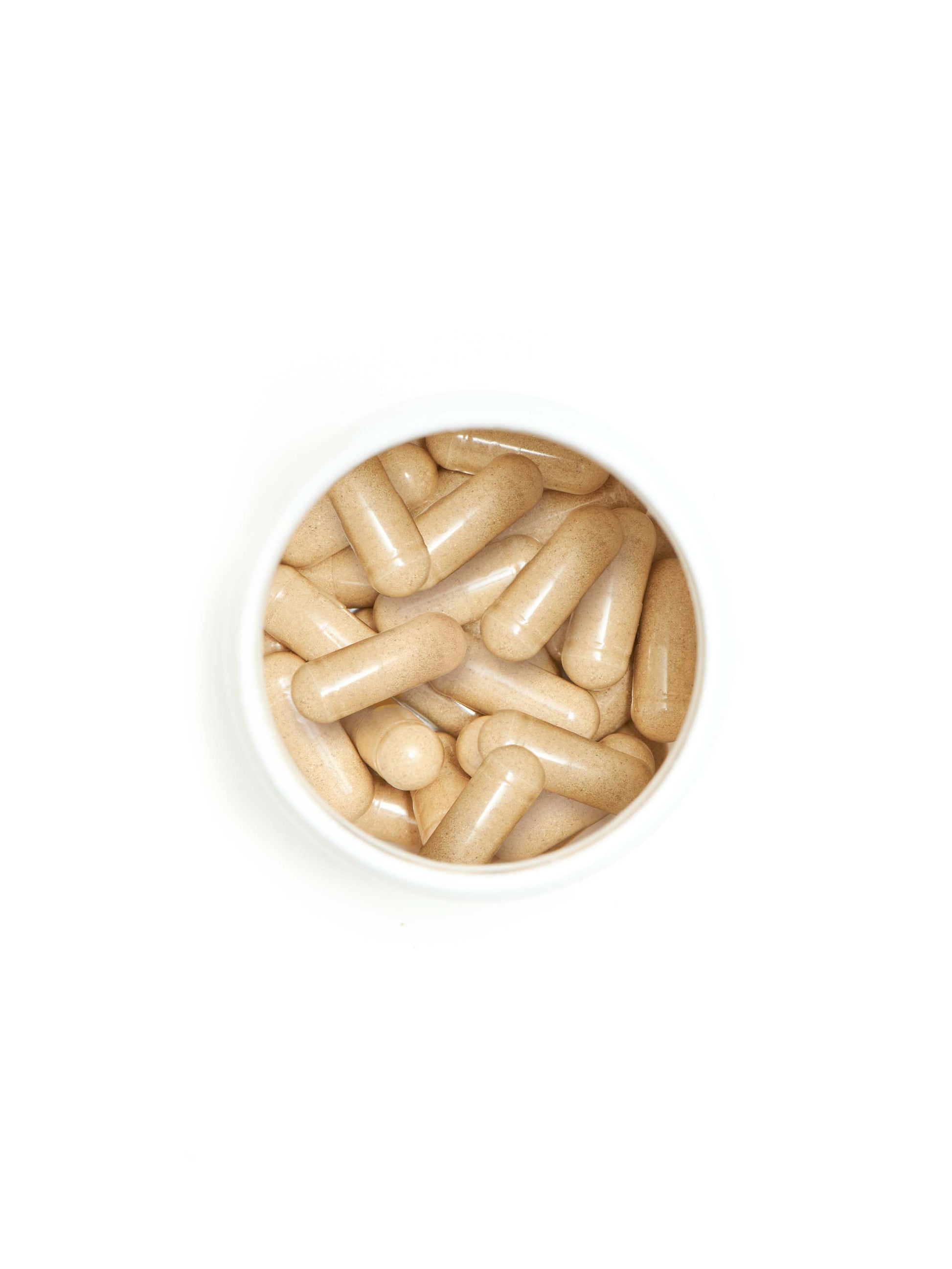 gut health probiotic+ - Concordia Style Boutique