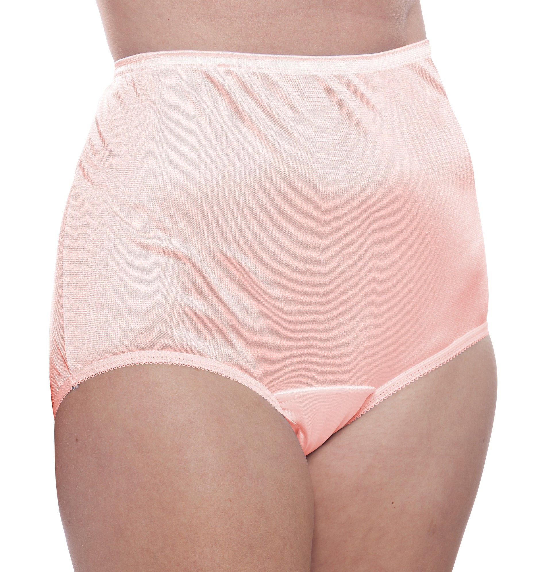 Nylon Brief Panty (Style 331/Plain Jane) 4 Pack in Pink - Concordia Style Boutique