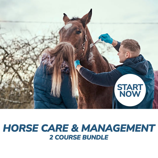 Horse Care and Management Online Bundle, 2 Certificate Courses - Premium Horse Care from Courses For Success - Just $349! Shop now at Concordia Style Boutique