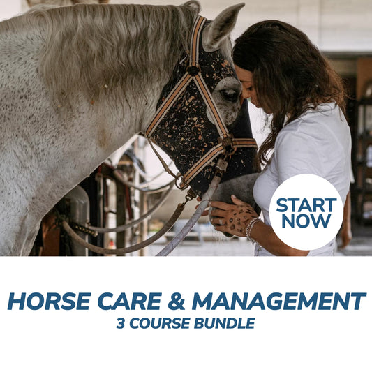 Horse Care and Management Online Bundle, 3 Certificate Courses - Premium Horse Care from Courses For Success - Just $399! Shop now at Concordia Style Boutique