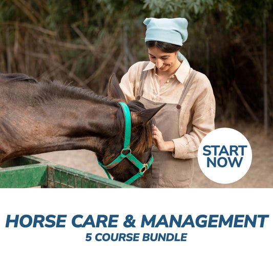 Horse Care and Management Online Bundle, 5 Certificate Courses - Premium Horse Care from Courses For Success - Just $449! Shop now at Concordia Style Boutique