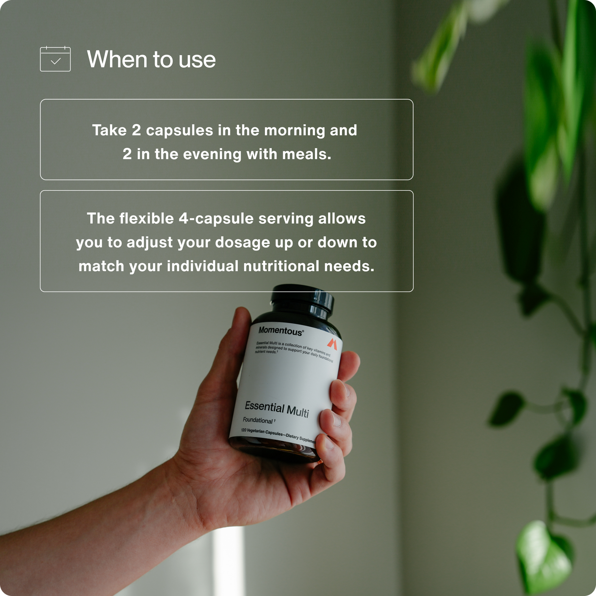 Multivitamin - Concordia Style Boutique