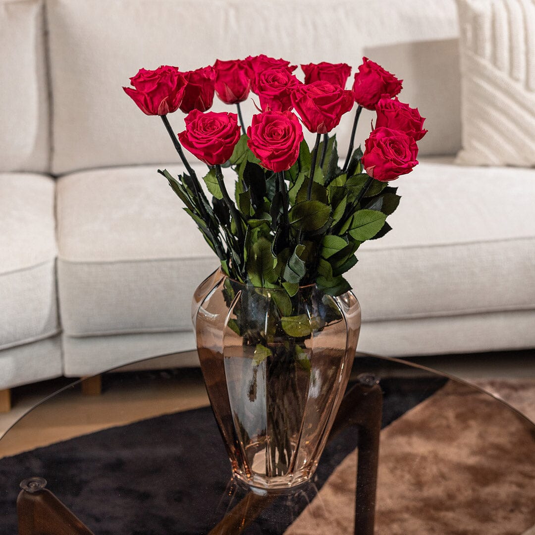 Long Stem Roses | Hot Pink Roses