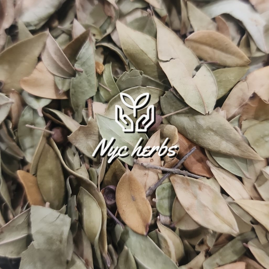 Myrtle Leaf | Antifungal & Anti-Inflammatory Support