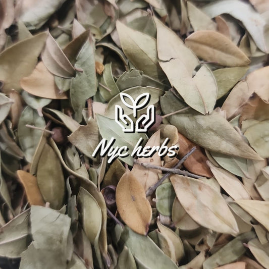 Myrtle Leaf | Antifungal & Anti-Inflammatory Support