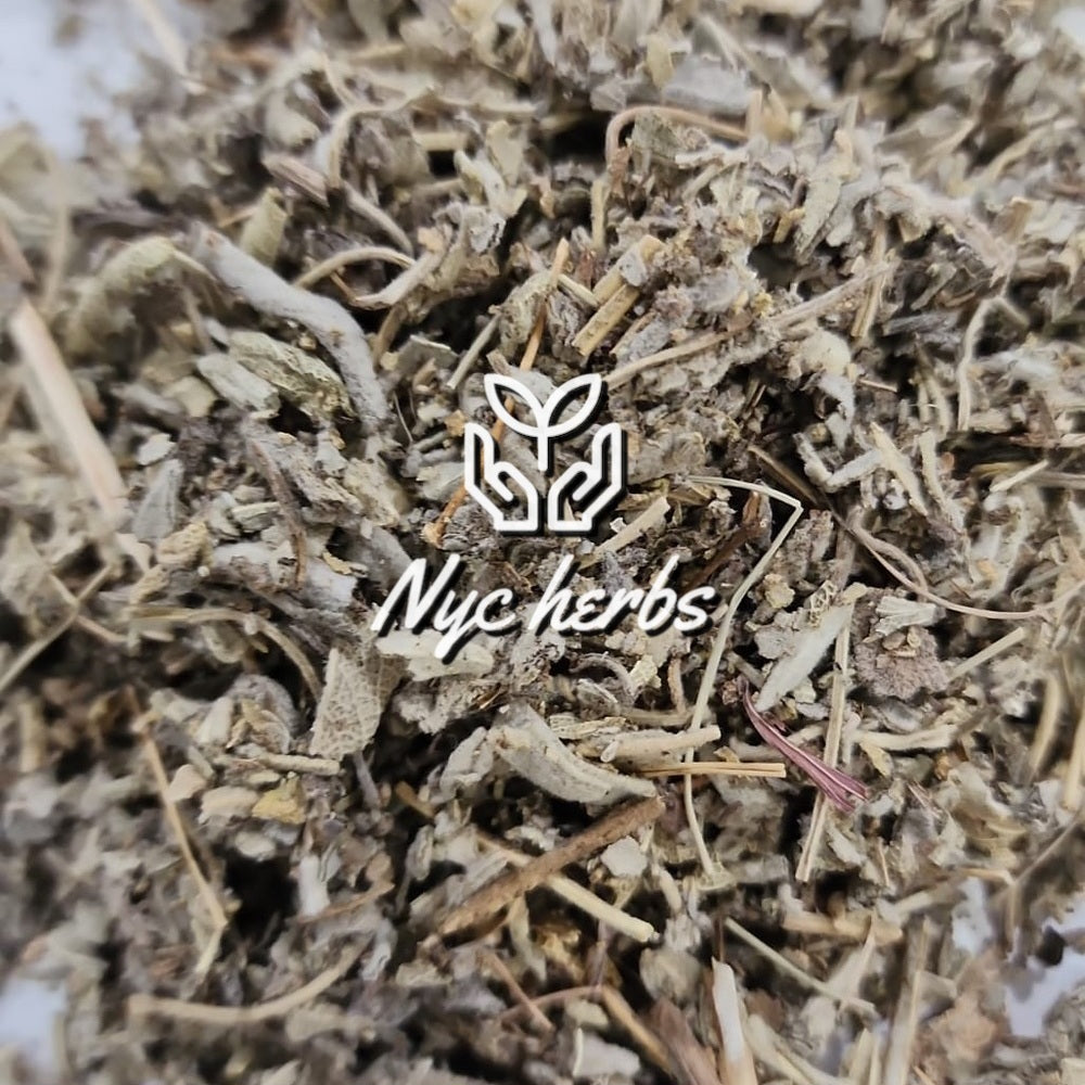 Sage | Cleansing, Respiratory & Hormonal Balance Support