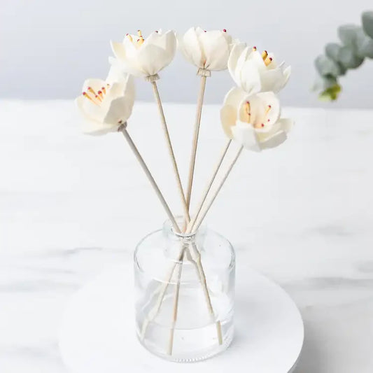 Reed Diffuser Oil Set - Concordia Style Boutique