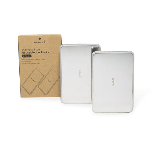 Stainless Steel Freezer PACKS FOR LUNCH Boxes and Lunch Bags, 2 Pack - Concordia Style Boutique