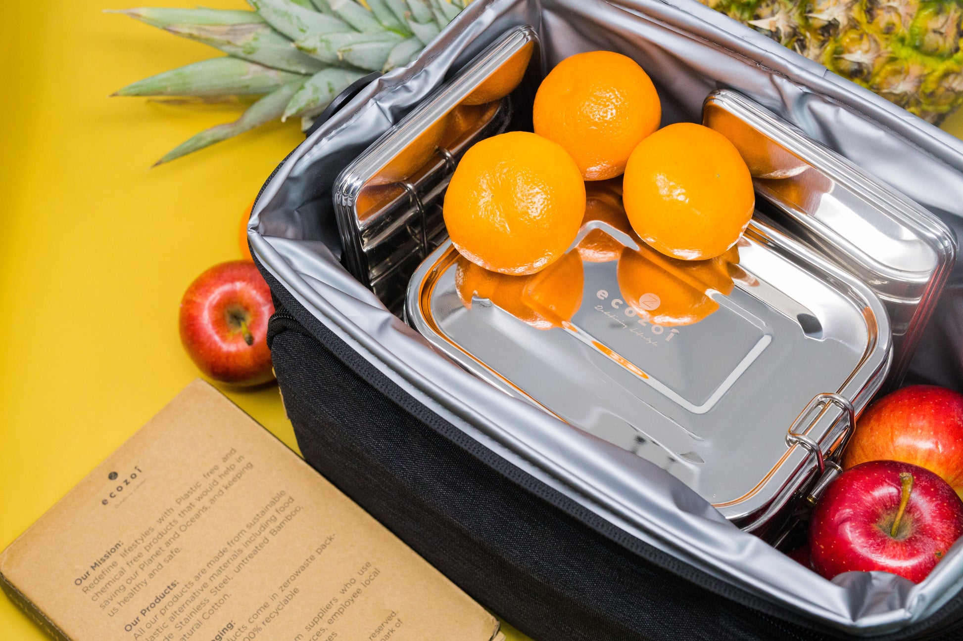 Stainless Steel Freezer PACKS FOR LUNCH Boxes and Lunch Bags, 2 Pack - Concordia Style Boutique