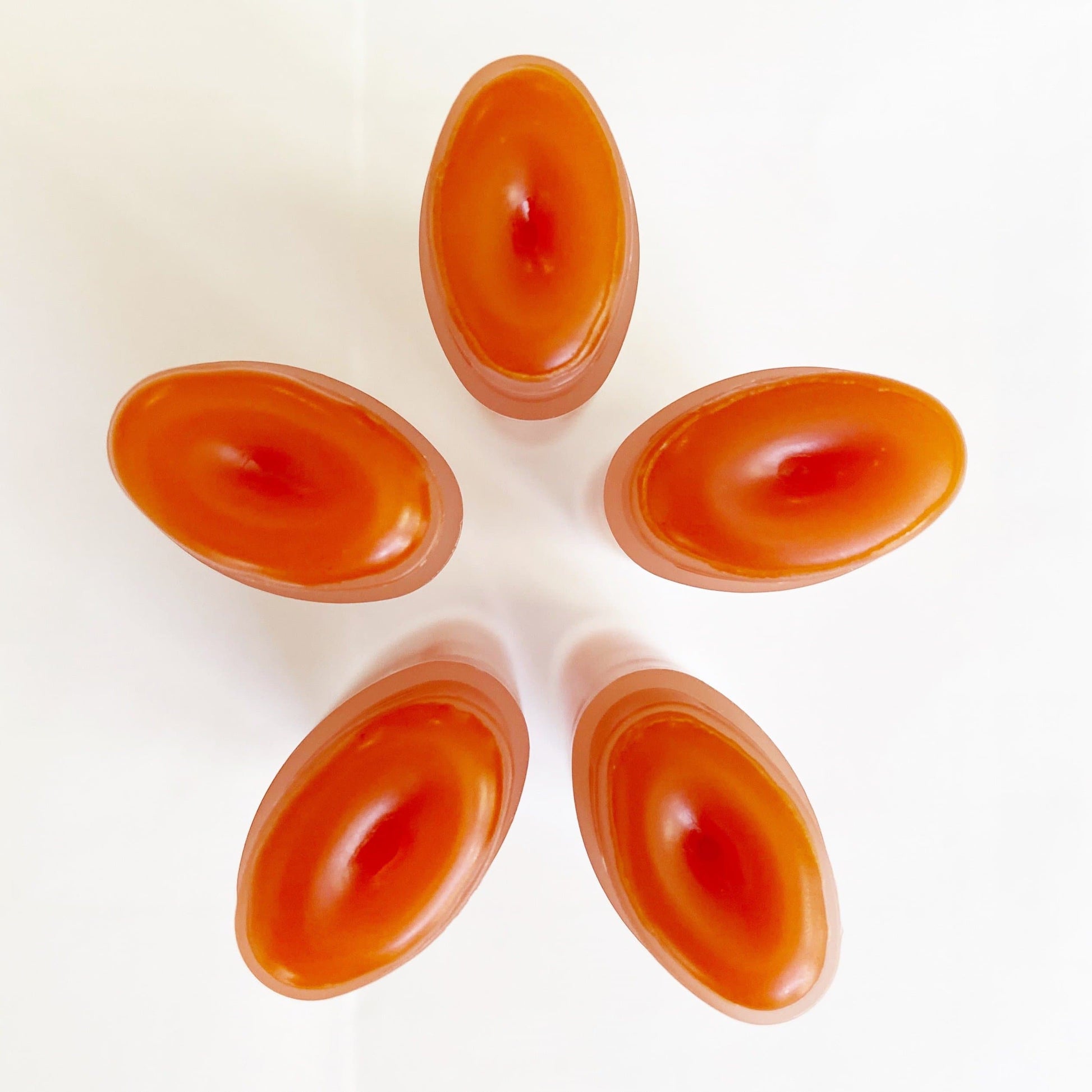 Cinnamon Spice Lip Plumper /// Cinnamon Bark - Concordia Style Boutique