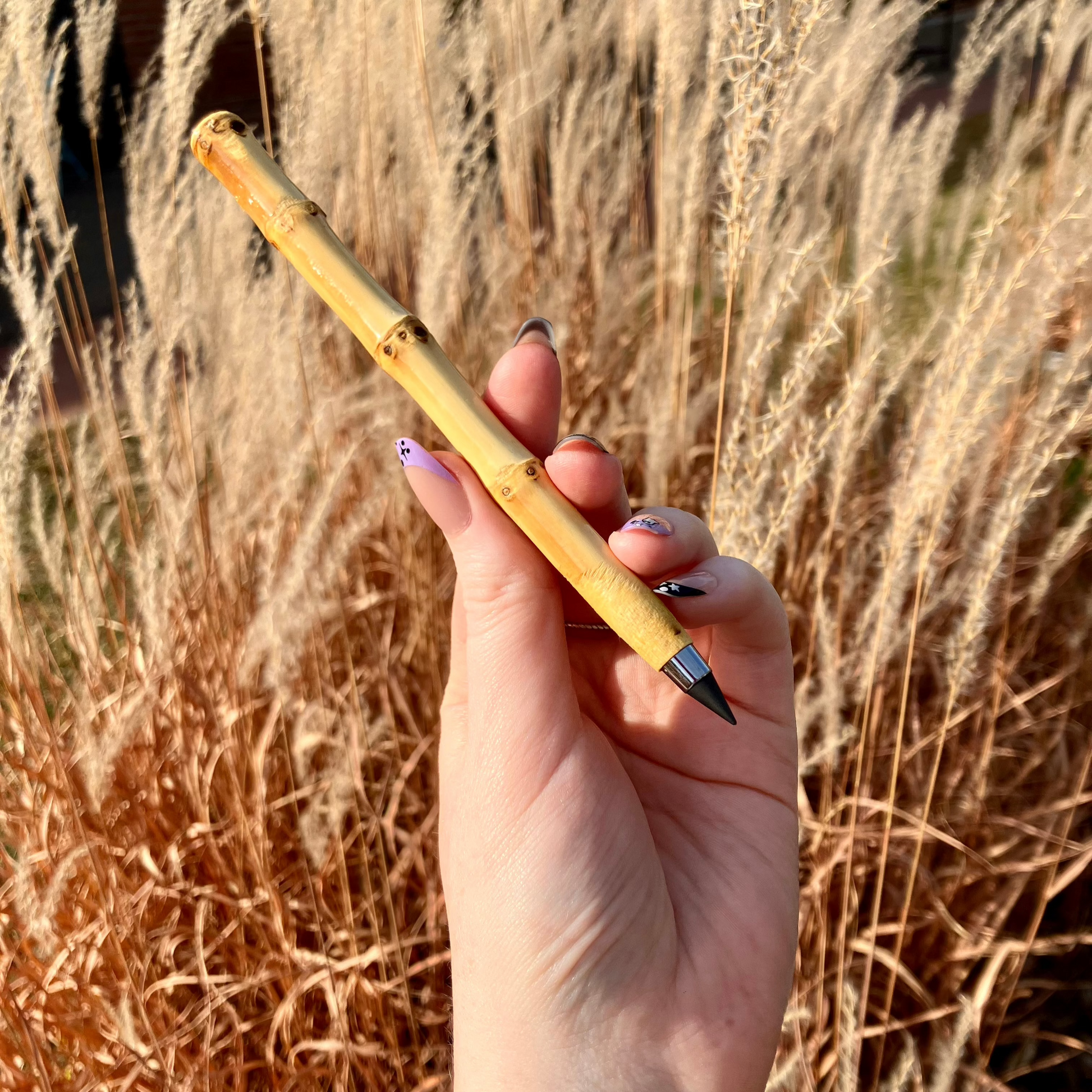 Bamboo Root Pencil | Never Ending - Concordia Style Boutique