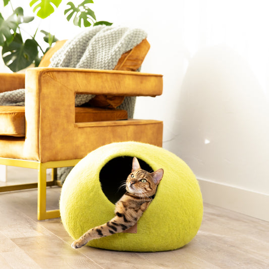 Citrus Green | Round Style Cave - Concordia Style Boutique