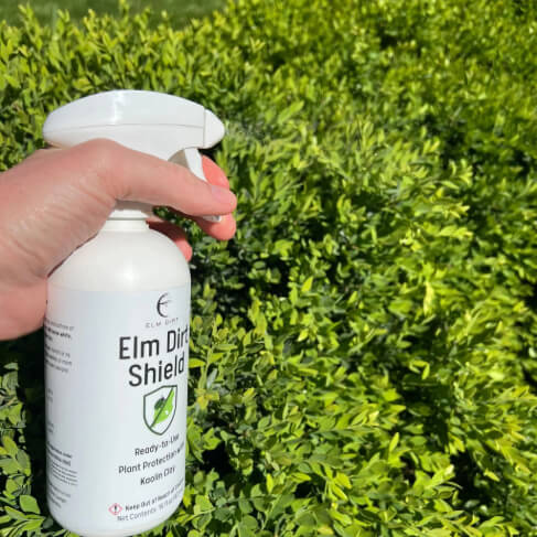 Elm Dirt's Shield, All Natural Pesticide - Concordia Style Boutique