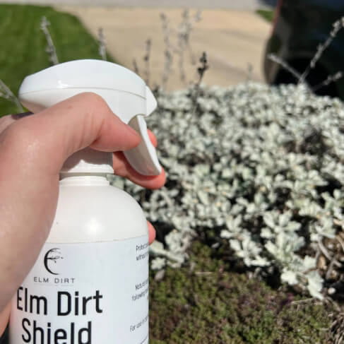 Elm Dirt's Shield, All Natural Pesticide - Concordia Style Boutique