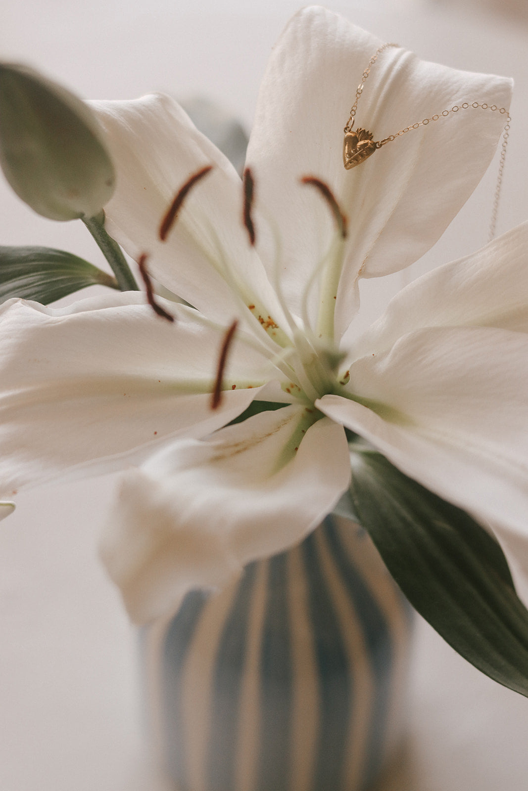 Holy Hearts™ Chaste Heart Of St. Joseph Necklace