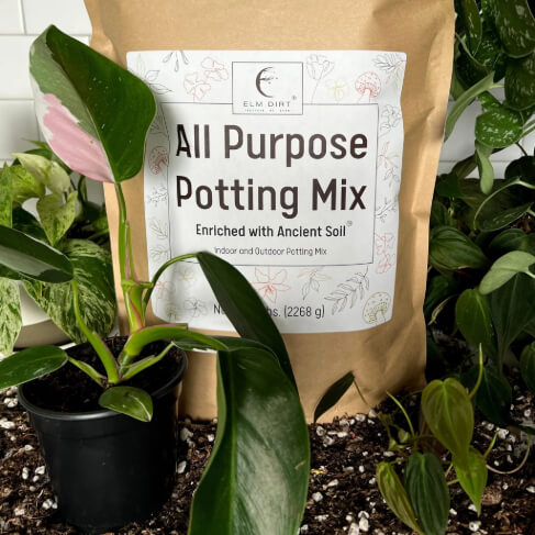 All-Purpose Soil Mix - Concordia Style Boutique