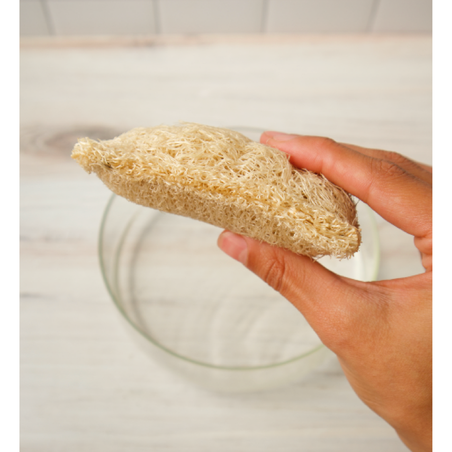 Loofah Dish Sponges