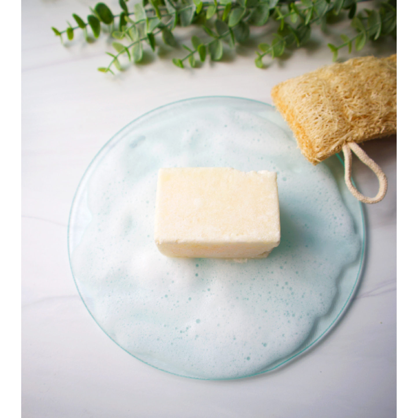 Dish Soap Bar