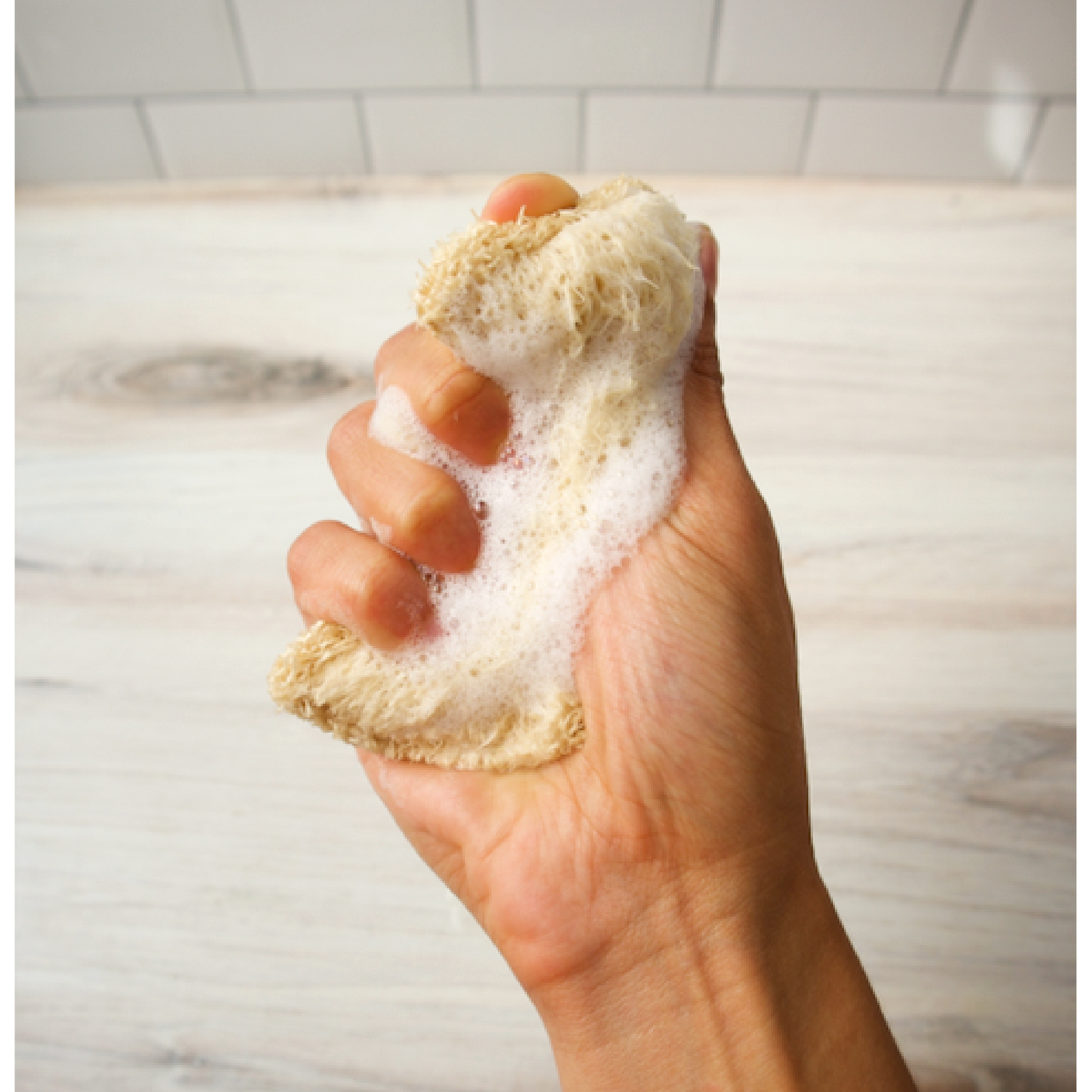 Loofah Dish Sponges
