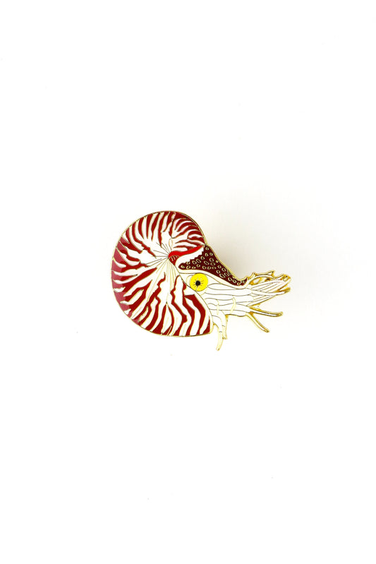 Chambered Nautilus Enamel Pin (Nautilus pompilius)
