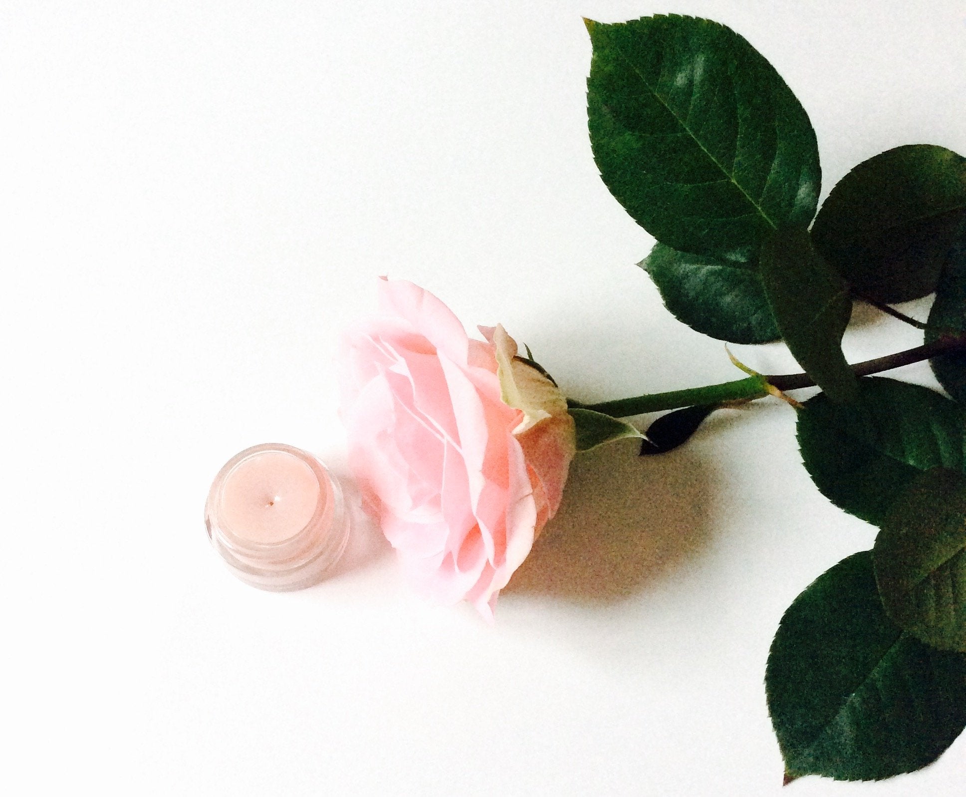 Strawberry Dreamsicle Lip Balm Scrub - Concordia Style Boutique