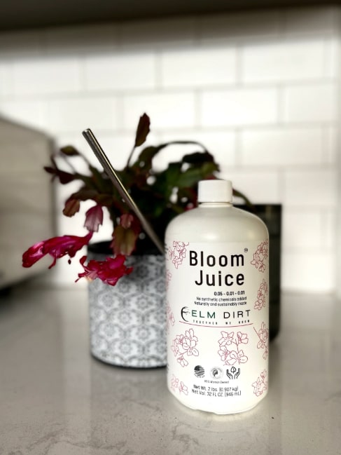 Bloom Juice - Our Award-Winning Formula for Spectacular Flowers - Concordia Style Boutique