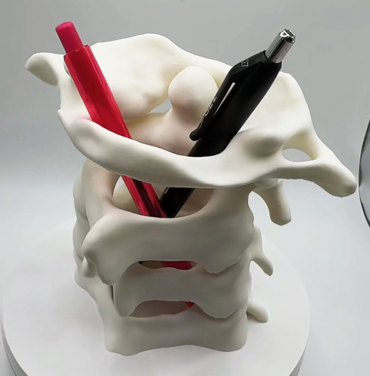 Cervical Spine Vertebrae Pen Holder