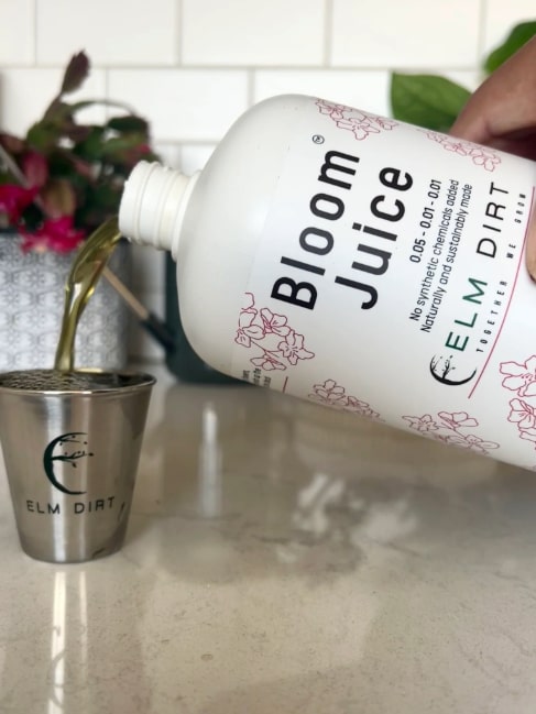 Bloom Juice - Our Award-Winning Formula for Spectacular Flowers - Concordia Style Boutique