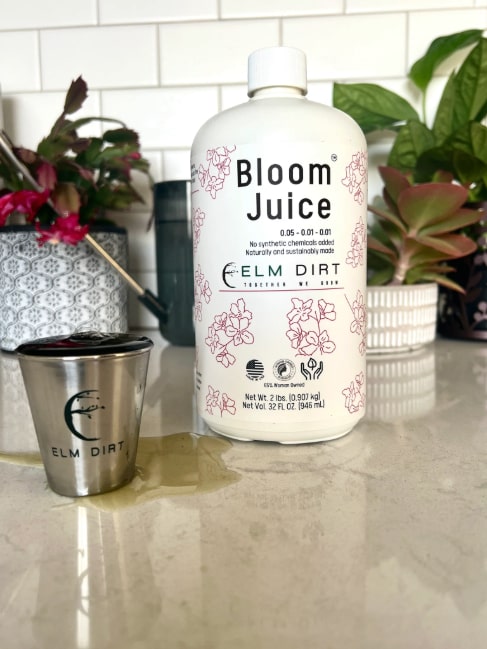 Bloom Juice - Our Award-Winning Formula for Spectacular Flowers - Concordia Style Boutique