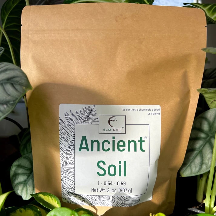 Ancient Soil: Organic Living Soil for Thriving Plants - Concordia Style Boutique