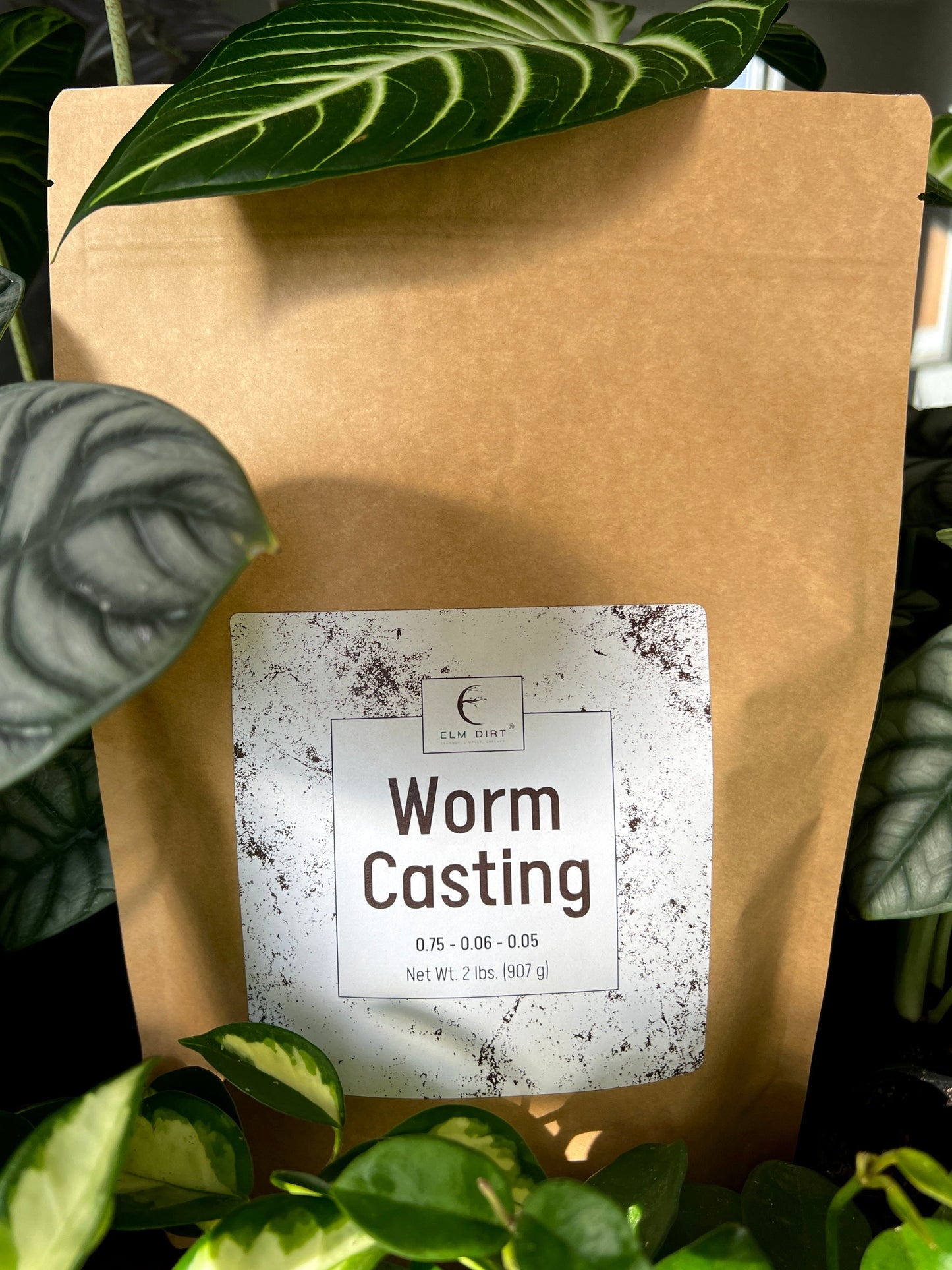 Worm Castings - Concordia Style Boutique