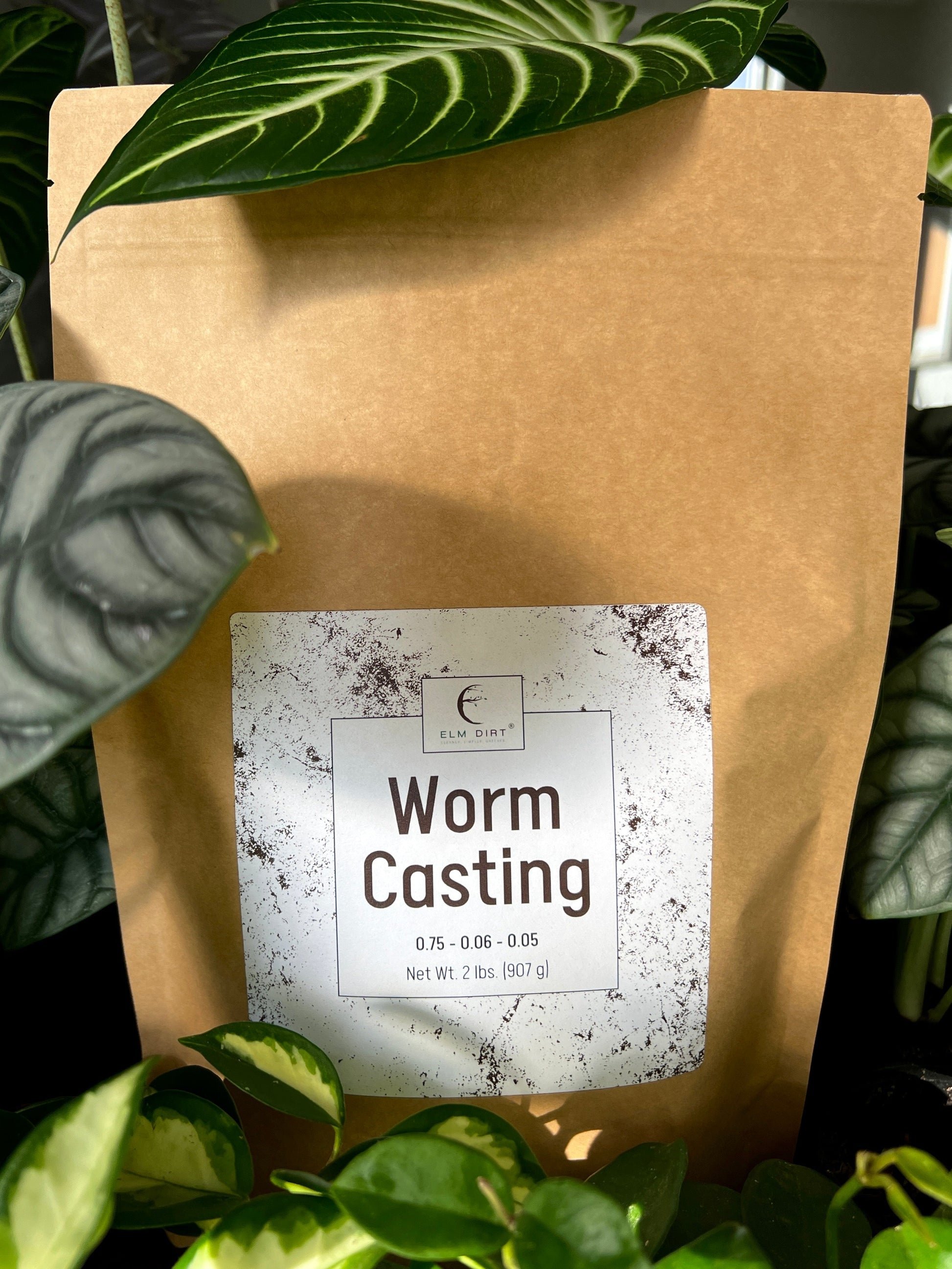 Worm Castings - Concordia Style Boutique