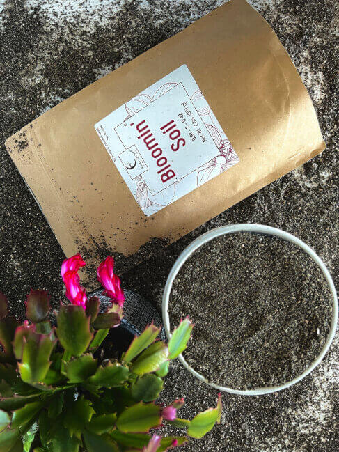 Bloomin' Soil - Organic Flower Booster for Bigger, Longer-Lasting Blooms - Concordia Style Boutique