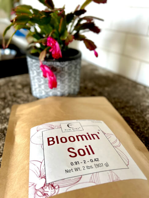Bloomin' Soil - Organic Flower Booster for Bigger, Longer-Lasting Blooms - Concordia Style Boutique