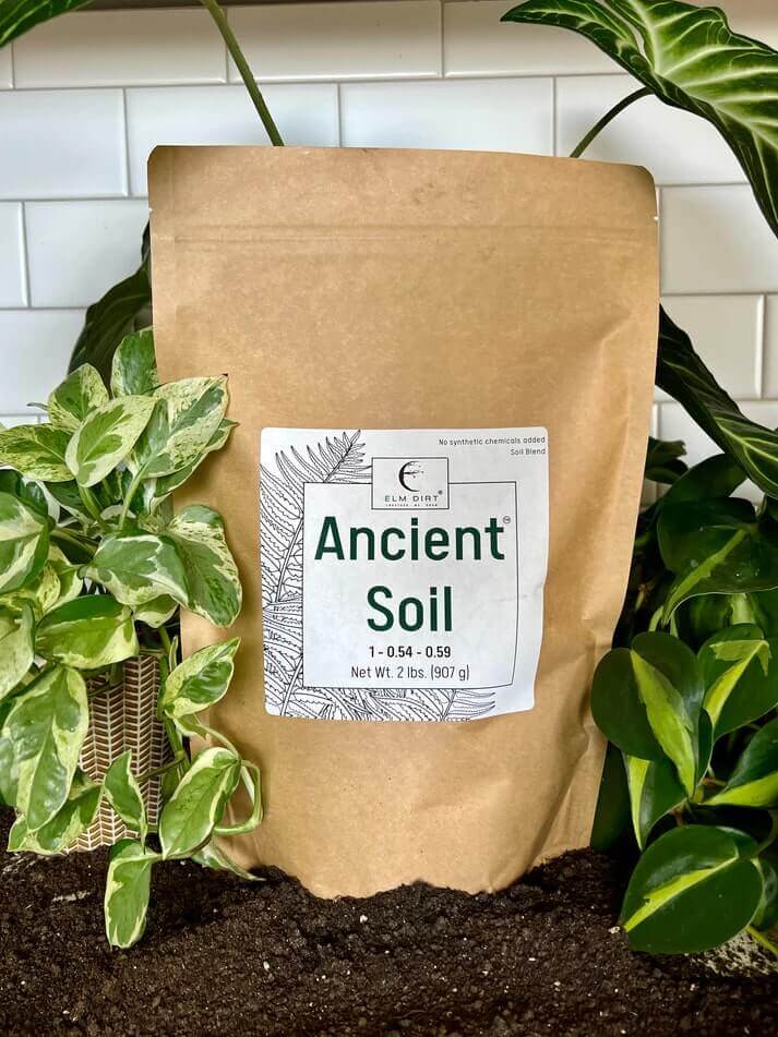 Ancient Soil: Organic Living Soil for Thriving Plants - Concordia Style Boutique